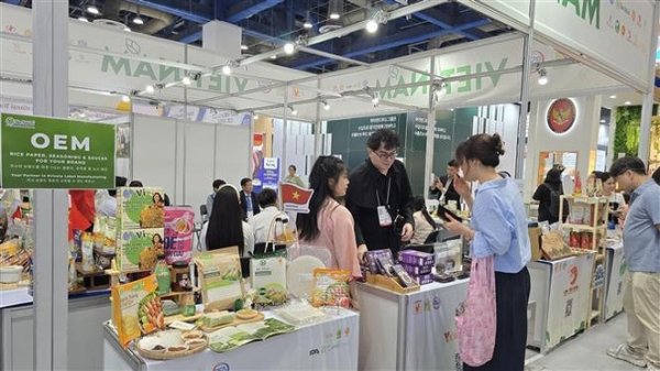 Các công ty Việt Nam tìm các